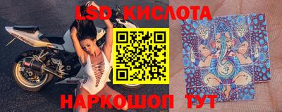 эйфоретик Будённовск